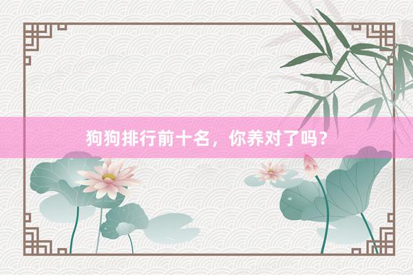 狗狗排行前十名，你养对了吗？