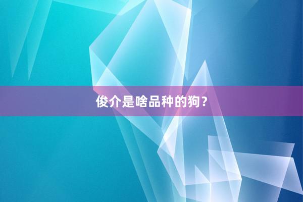 俊介是啥品种的狗？