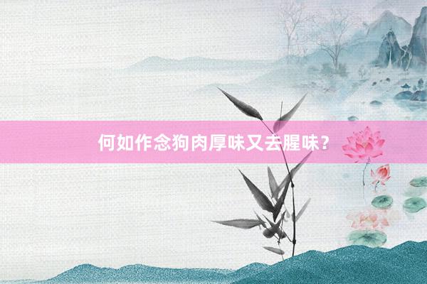 何如作念狗肉厚味又去腥味？