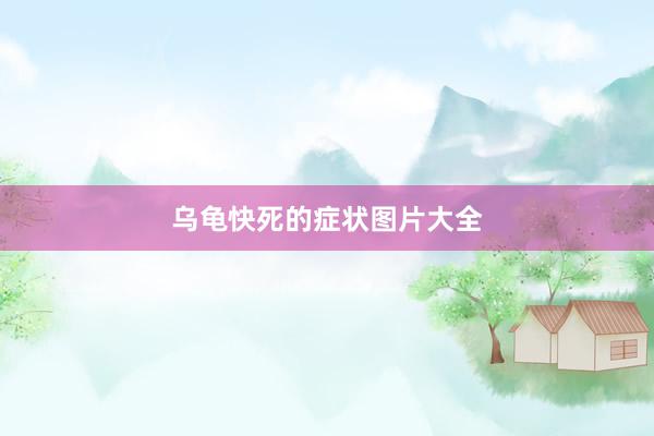 乌龟快死的症状图片大全