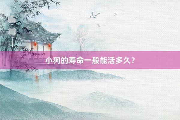 小狗的寿命一般能活多久？